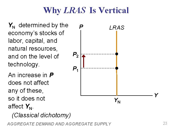 Why LRAS Is Vertical YN determined by the P economy’s stocks of labor, capital,