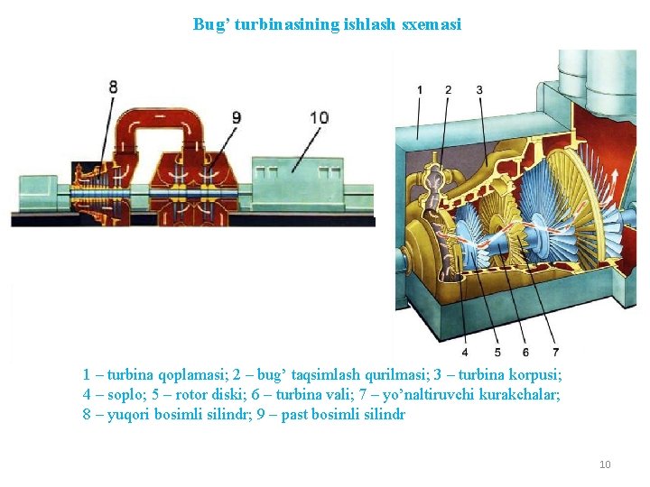 Bug’ turbinasining ishlash sxemasi 1 – turbina qoplamasi; 2 – bug’ taqsimlash qurilmasi; 3
