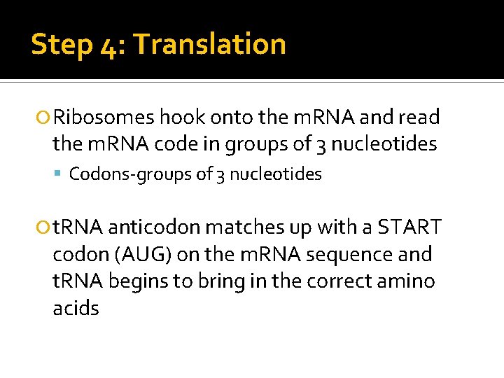 Step 4: Translation Ribosomes hook onto the m. RNA and read the m. RNA