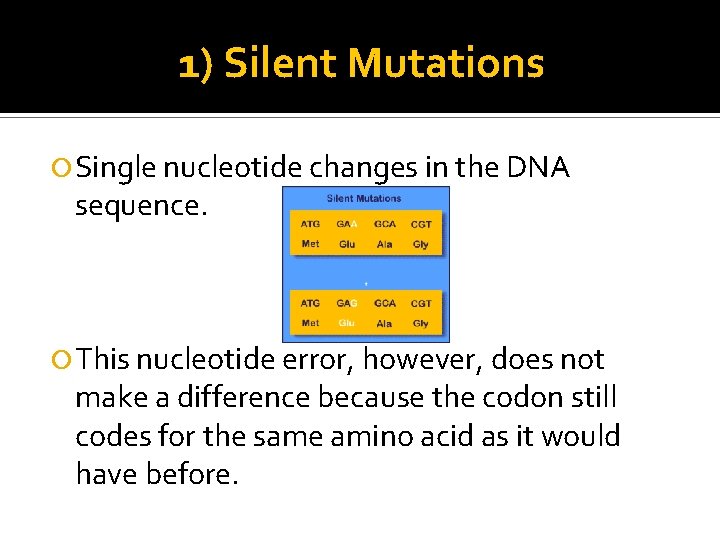 1) Silent Mutations Single nucleotide changes in the DNA sequence. This nucleotide error, however,