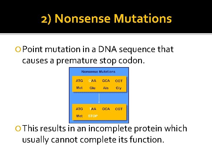 2) Nonsense Mutations Point mutation in a DNA sequence that causes a premature stop
