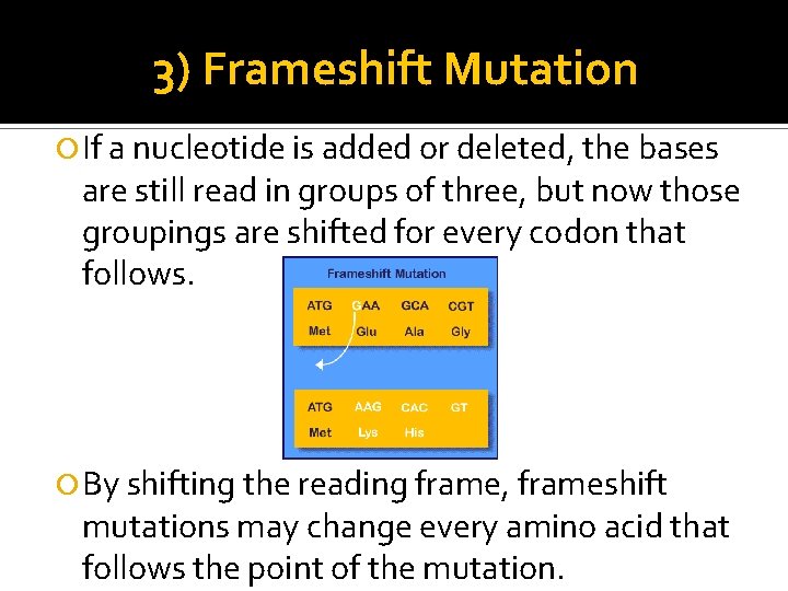 3) Frameshift Mutation If a nucleotide is added or deleted, the bases are still