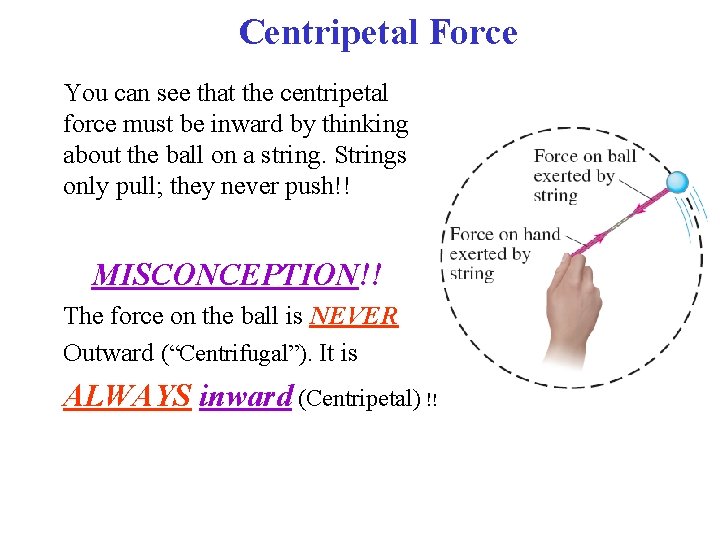 Centripetal Force You can see that the centripetal force must be inward by thinking