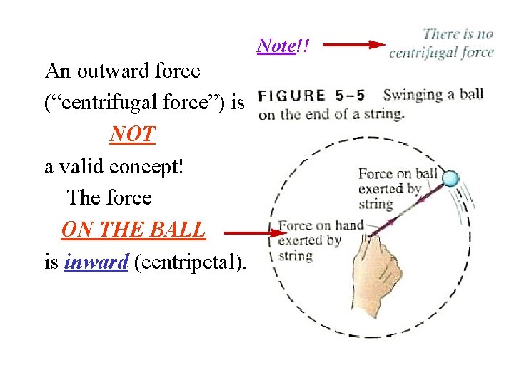 Note!! An outward force (“centrifugal force”) is NOT a valid concept! The force ON