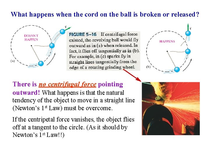 What happens when the cord on the ball is broken or released? There is