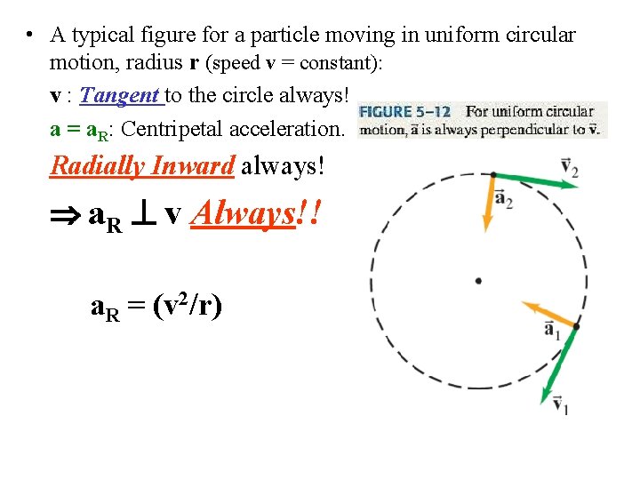  • A typical figure for a particle moving in uniform circular motion, radius