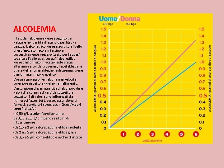 ALCOLEMIA Il test dell’alcolemia viene eseguito per valutare la quantità di etanolo per litro ALCOLEMIA Il test dell’alcolemia viene eseguito per valutare la quantità di etanolo per litro