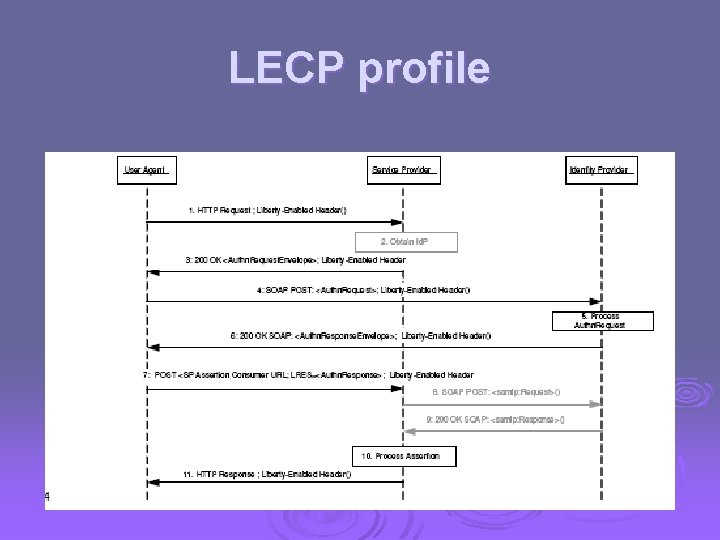 LECP profile 