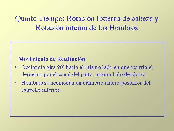 Quinto Tiempo: Rotación Externa de cabeza y Rotación interna de los Hombros Movimiento de Quinto Tiempo: Rotación Externa de cabeza y Rotación interna de los Hombros Movimiento de