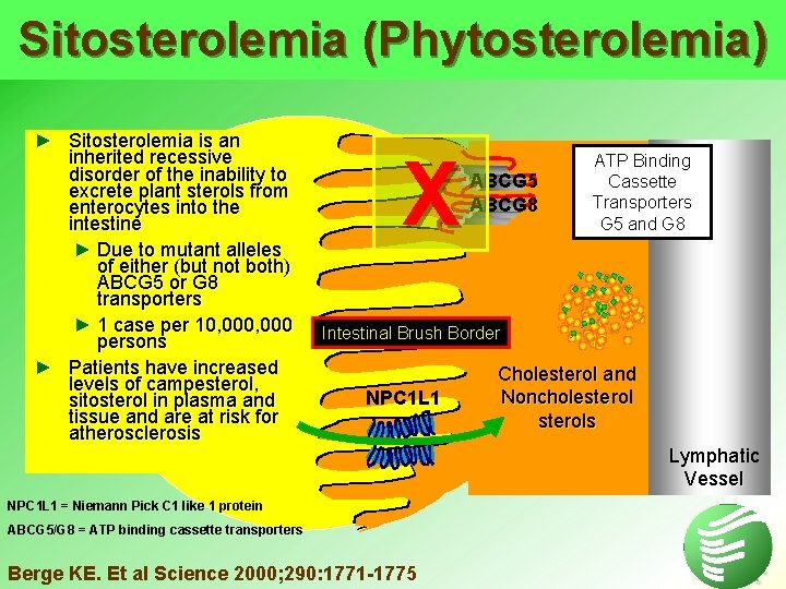 Sitosterolemia (Phytosterolemia) ► Sitosterolemia is an inherited recessive disorder of the inability to excrete