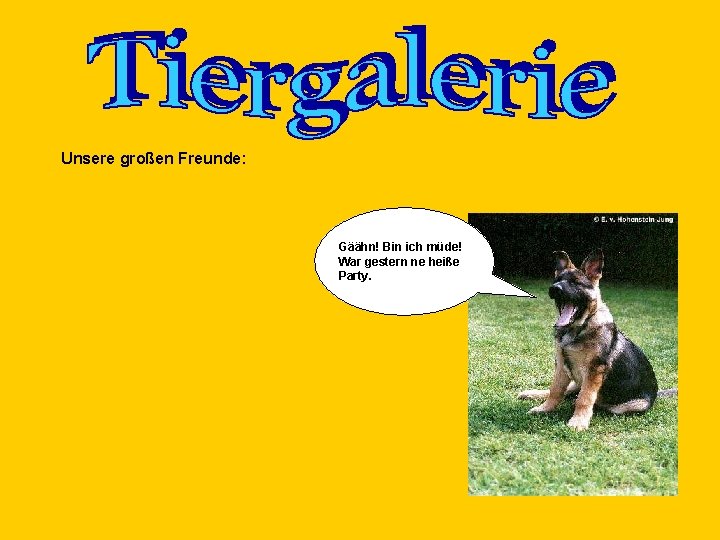 Unsere großen Freunde: Gäähn! Bin ich müde! War gestern ne heiße Party. 