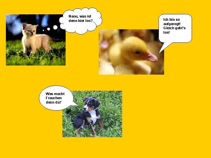 Nanu, was ist denn hier los? Was macht Frauchen denn da? Ich bin so