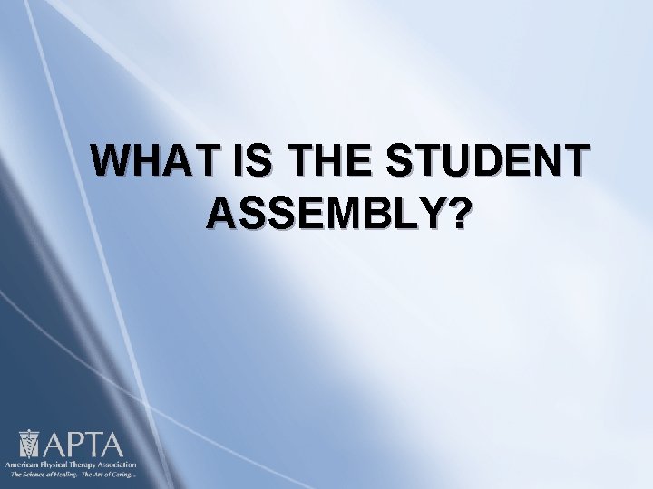 WHAT IS THE STUDENT ASSEMBLY? 