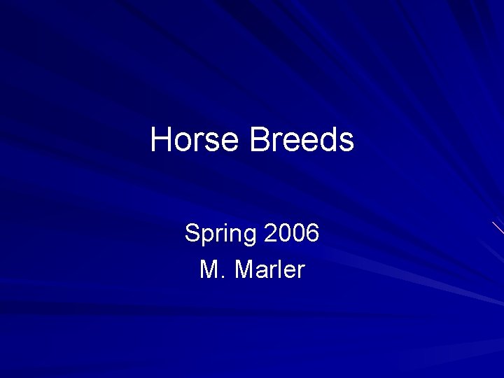 Horse Breeds Spring 2006 M. Marler 