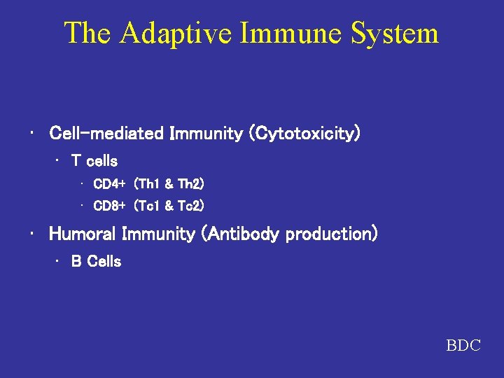 The Adaptive Immune System • Cell-mediated Immunity (Cytotoxicity) • T cells • CD 4+