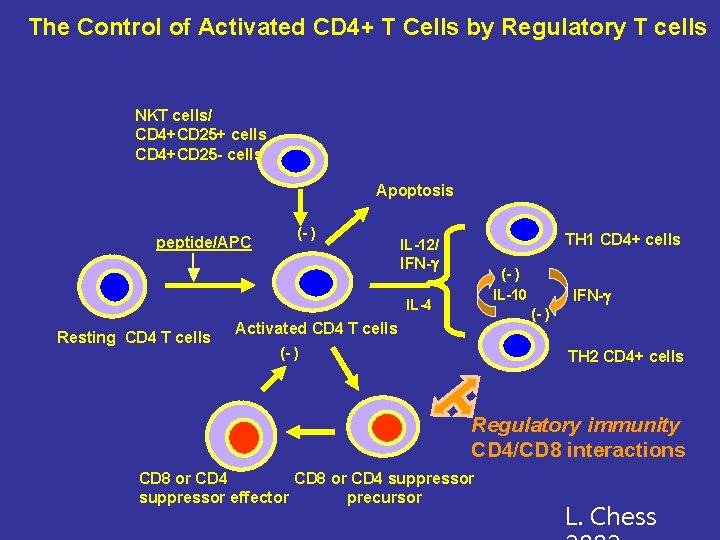 The Control of Activated CD 4+ T Cells by Regulatory T cells NKT cells/