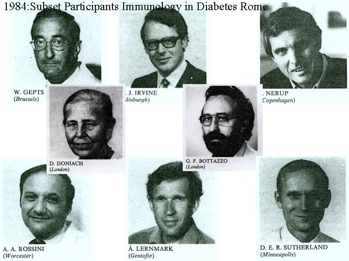 1984: Subset Participants Immunology in Diabetes Rome 