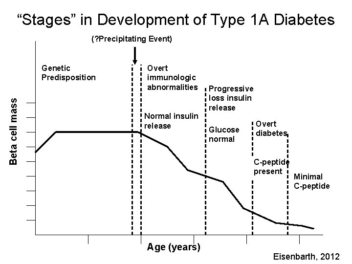 “Stages” in Development of Type 1 A Diabetes (? Precipitating Event) Beta cell mass