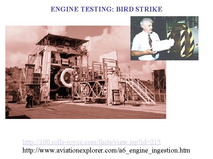 ENGINE TESTING: BIRD STRIKE http: //100. rolls-royce. com/facts/view. jsp? id=215 http: //www. aviationexplorer. com/a