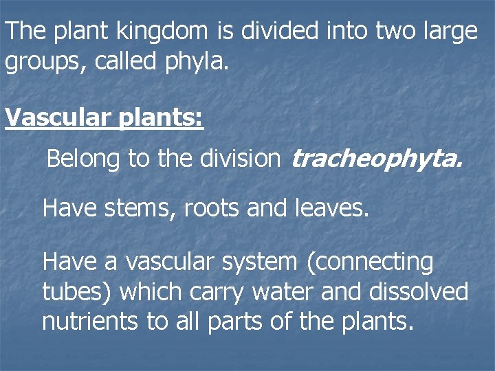 The plant kingdom is divided into two large groups, called phyla. Vascular plants: Belong