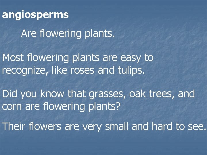 angiosperms Are flowering plants. Most flowering plants are easy to recognize, like roses and