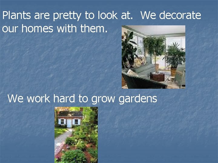 Plants are pretty to look at. We decorate our homes with them. We work