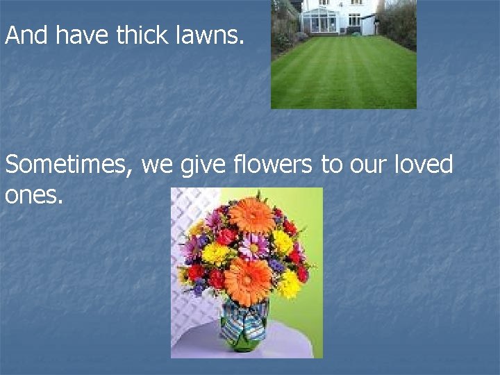 And have thick lawns. Sometimes, we give flowers to our loved ones. 