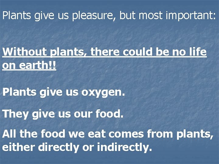 Plants give us pleasure, but most important: Without plants, there could be no life