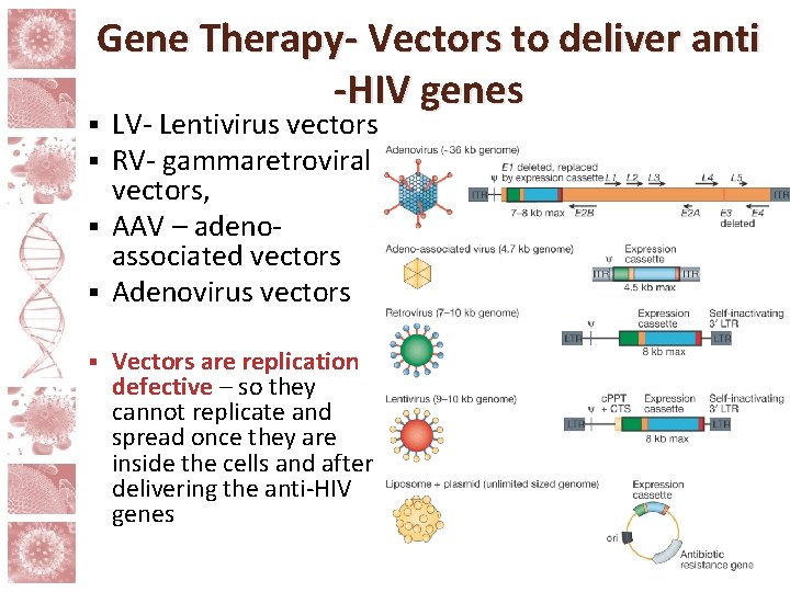 Gene Therapy- Vectors to deliver anti -HIV genes LV- Lentivirus vectors RV- gammaretroviral vectors, Gene Therapy- Vectors to deliver anti -HIV genes LV- Lentivirus vectors RV- gammaretroviral vectors,