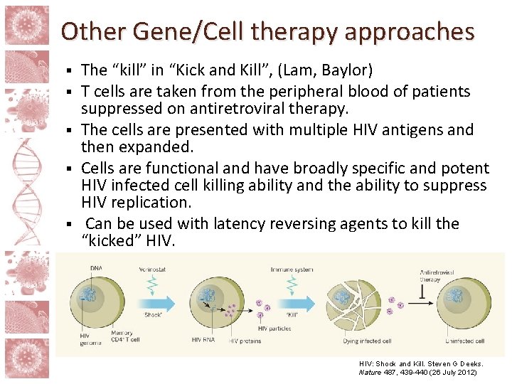 Other Gene/Cell therapy approaches The “kill” in “Kick and Kill”, (Lam, Baylor) T cells