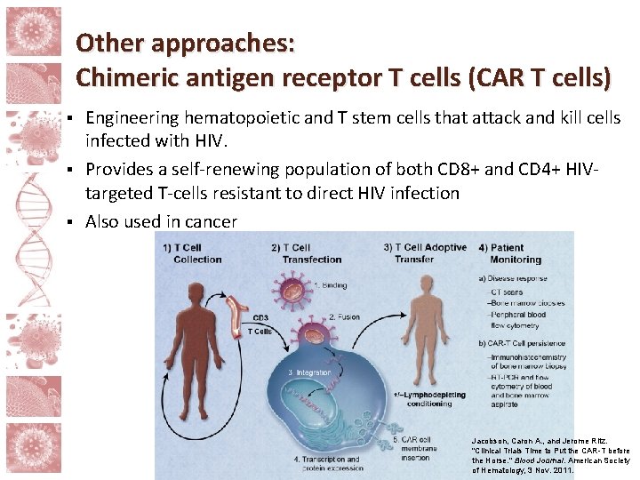 Other approaches: Chimeric antigen receptor T cells (CAR T cells) Engineering hematopoietic and T