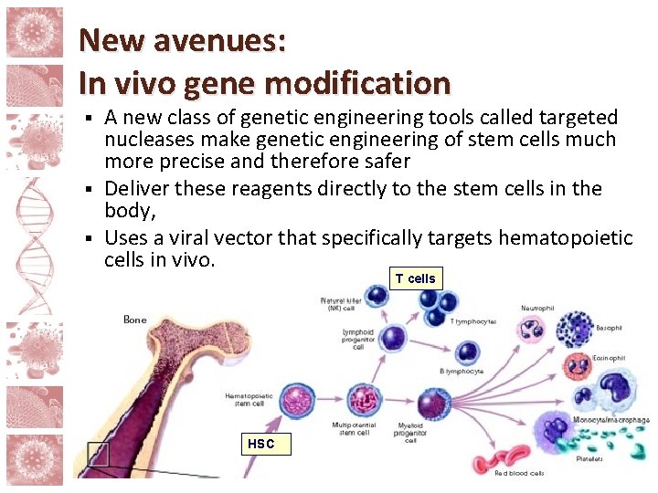 New avenues: In vivo gene modification A new class of genetic engineering tools called