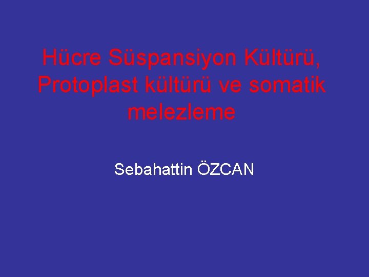 Hücre Süspansiyon Kültürü, Protoplast kültürü ve somatik melezleme Sebahattin ÖZCAN 