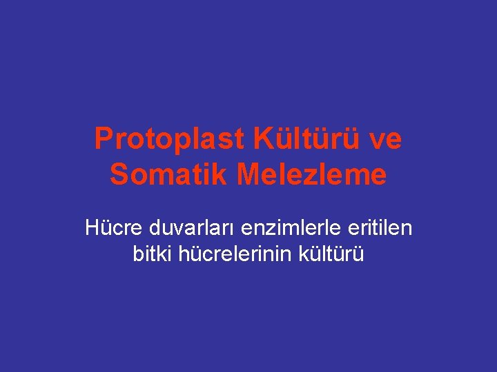 Protoplast Kültürü ve Somatik Melezleme Hücre duvarları enzimlerle eritilen bitki hücrelerinin kültürü 