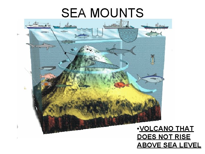 SEA MOUNTS • VOLCANO THAT DOES NOT RISE ABOVE SEA LEVEL 