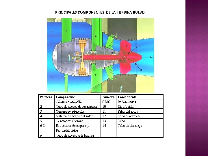 PRINCIPALES COMPONENTES DE LA TURBINA BULBO Número 1 2 3 4 5 6 -8