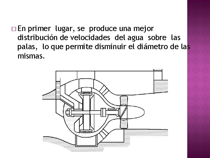 � En primer lugar, se produce una mejor distribución de velocidades del agua sobre