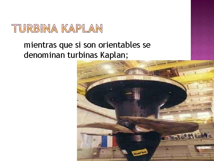 mientras que si son orientables se denominan turbinas Kaplan; 