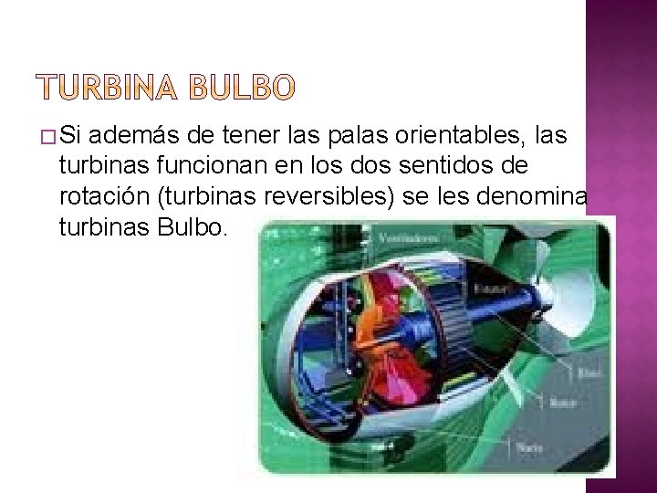 � Si además de tener las palas orientables, las turbinas funcionan en los dos