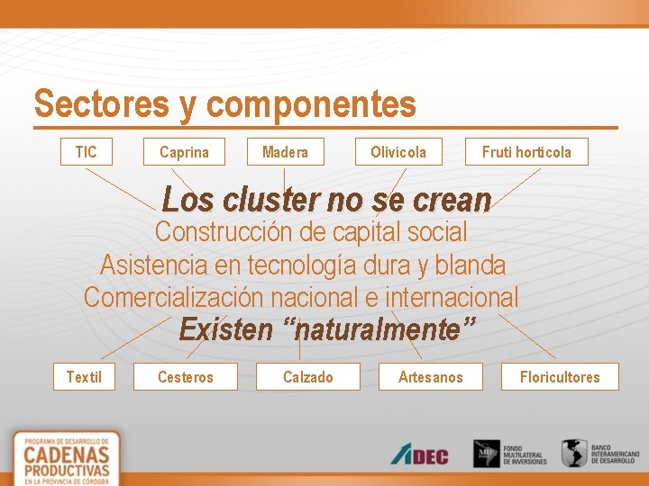 Sectores y componentes TIC Caprina Madera Olivícola Fruti hortícola Los cluster no se crean