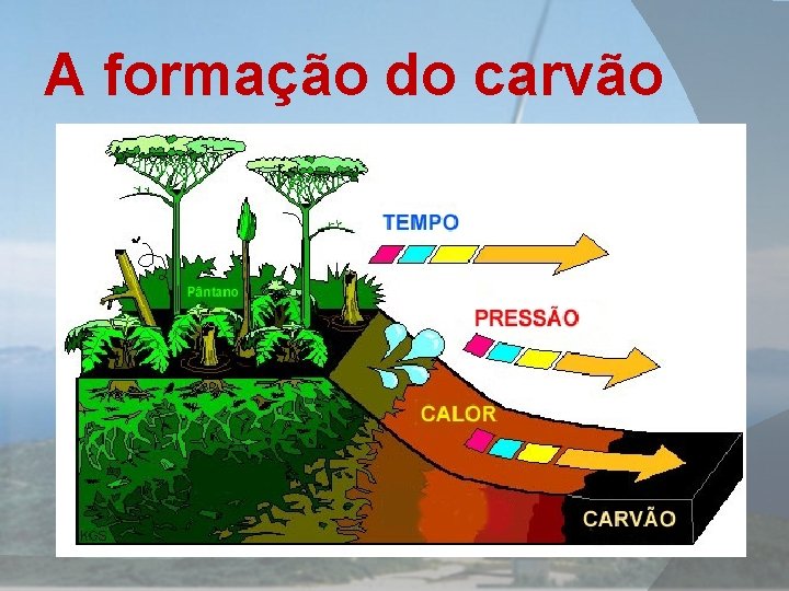 A formação do carvão 