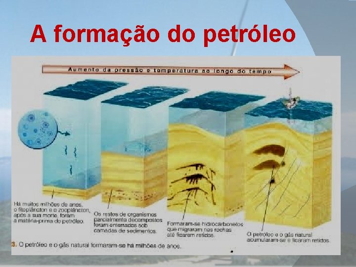 A formação do petróleo 