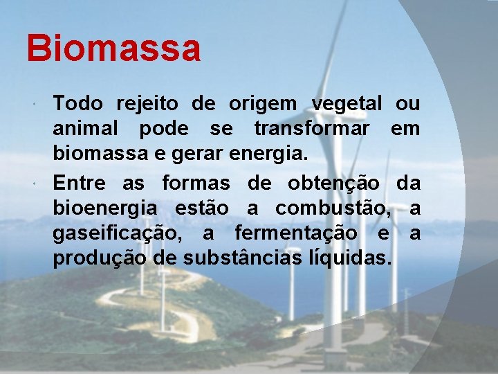 Biomassa Todo rejeito de origem vegetal ou animal pode se transformar em biomassa e