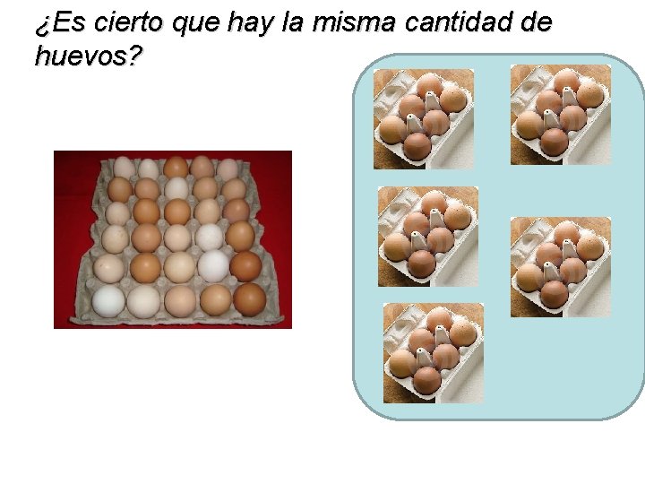 ¿Es cierto que hay la misma cantidad de huevos? 