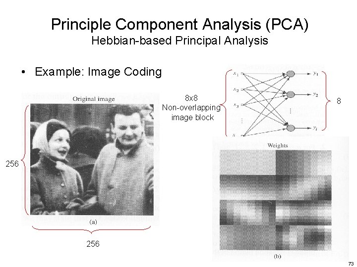 Principle Component Analysis (PCA) Hebbian-based Principal Analysis • Example: Image Coding 8 x 8