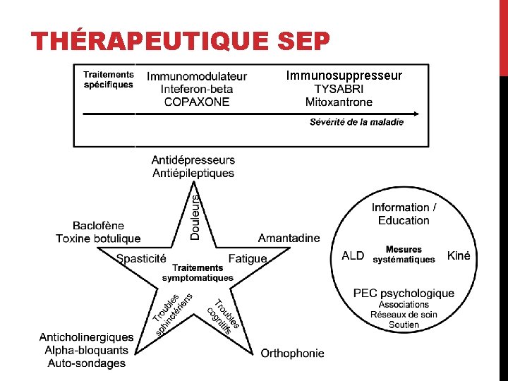 THÉRAPEUTIQUE SEP Immunosuppresseur 