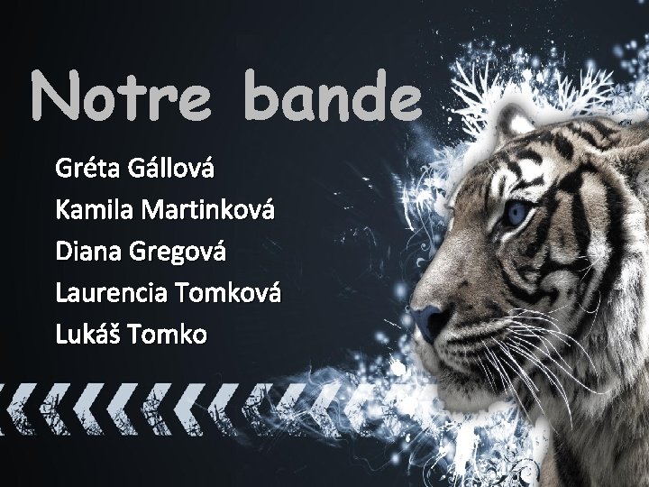 Notre bande Gréta Gállová Kamila Martinková Diana Gregová Laurencia Tomková Lukáš Tomko 