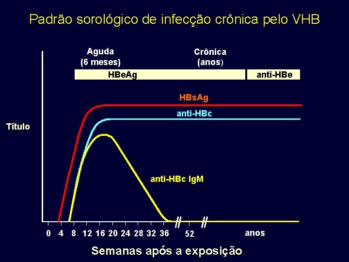 Padrão sorológico de infecção crônica pelo VHB Aguda (6 meses) HBe. Ag Crônica (anos)