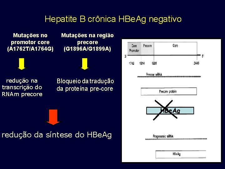 Hepatite B crônica HBe. Ag negativo Mutações no promotor core (A 1762 T/A 1764