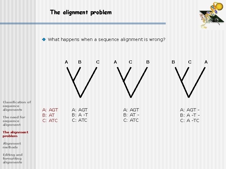 The alignment problem What happens when a sequence alignment is wrong? A Classification of